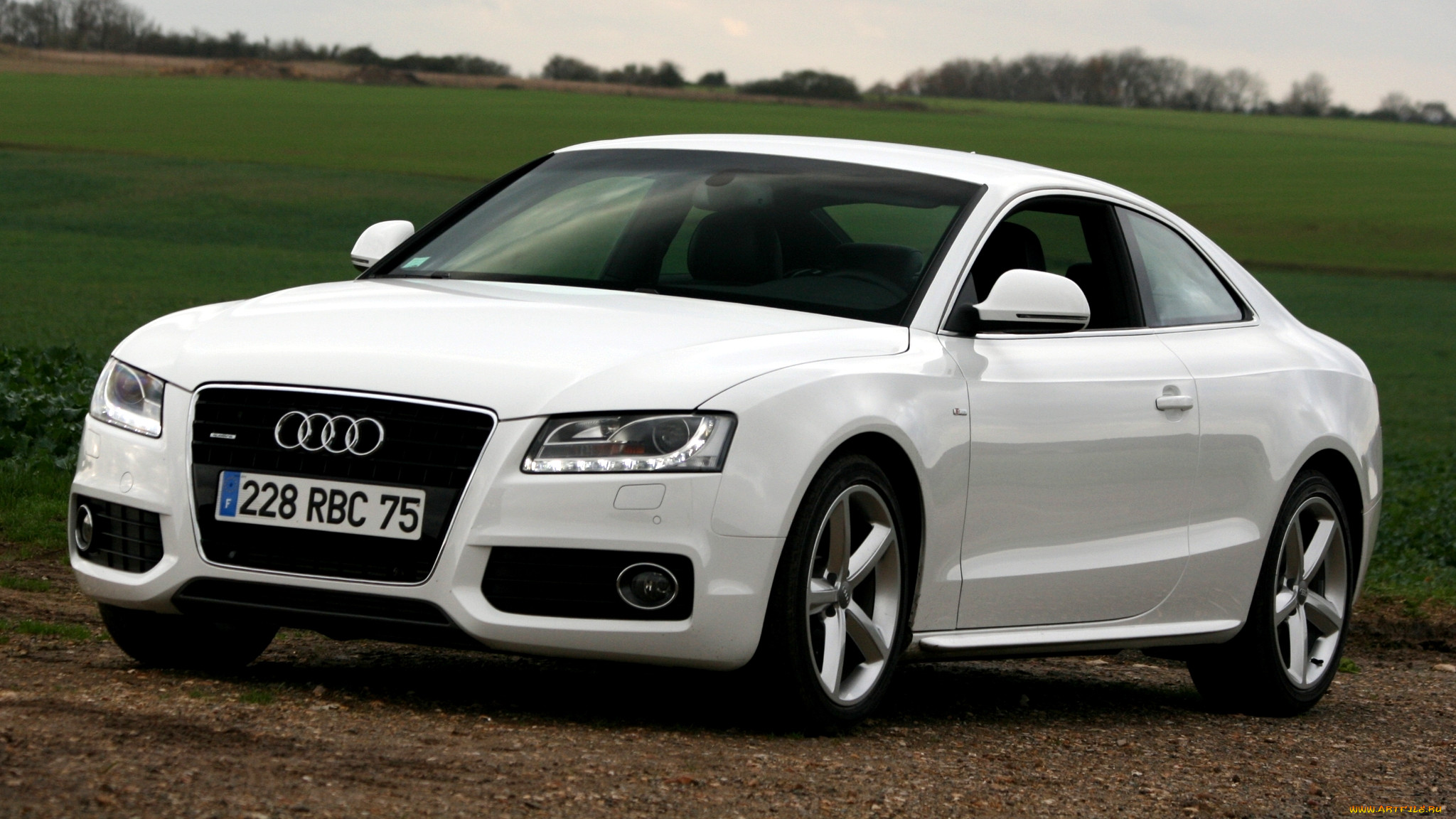 audi, a5, , , volkswagen, group